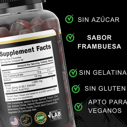 COMBO GOMAS SHILAJIT 160g - MEGA OFERTA 2X1